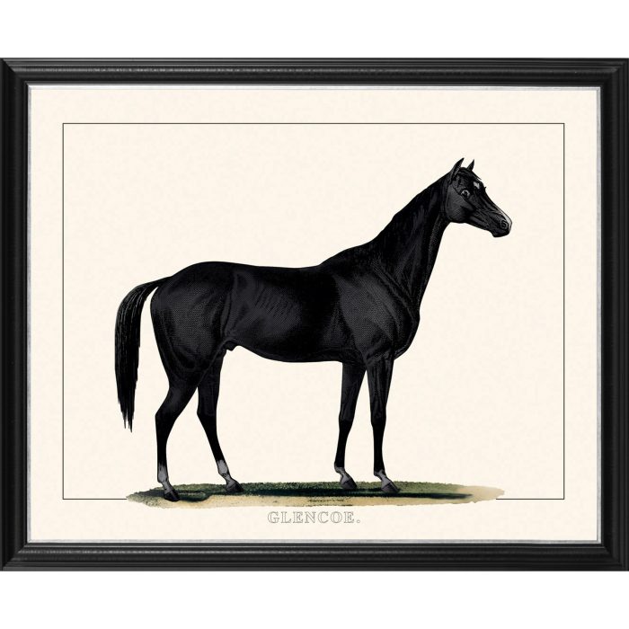 BLACK HORSE I:50X70