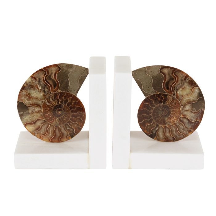 BOOKENDS, AMMONITE ON WHITE