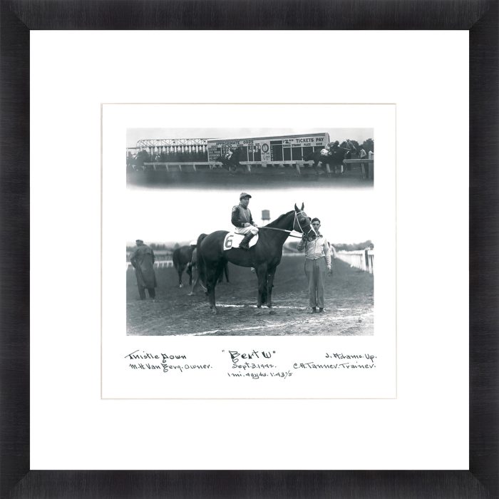 ARCHIVE:AT THE RACES:50X50